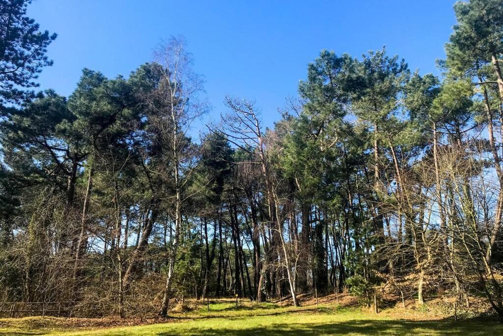 Villa Les Lutins Le Touquet Kültér fotó
