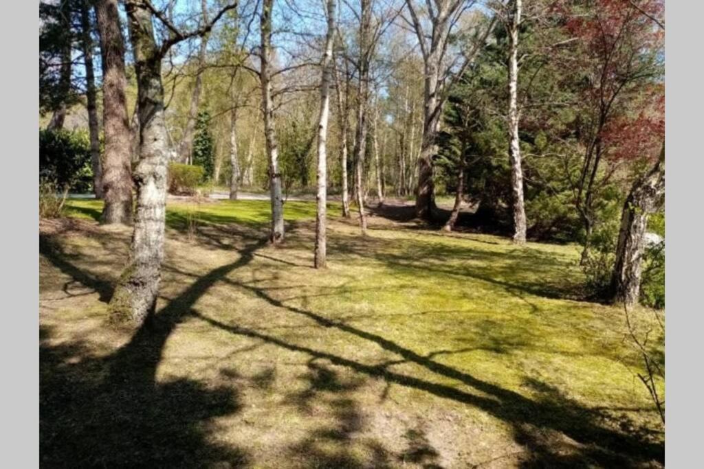 Villa Les Lutins Le Touquet Kültér fotó